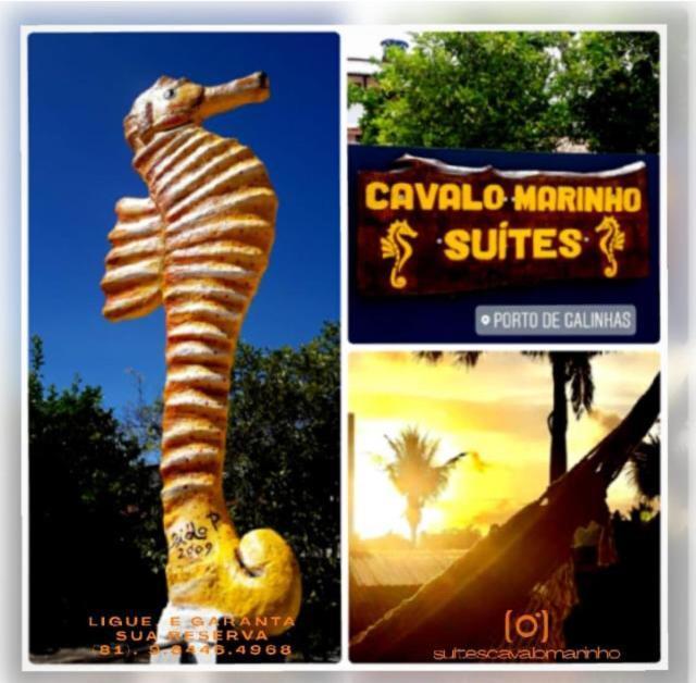 Suites Cavalo Marinho Pôrto das Galinhas Exteriör bild